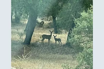 42125 Calle Paramo, Murrieta, CA 92562 - Photo 8