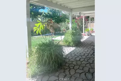 1252 Avenida Floribunda, San Jacinto, CA 92583 - Photo 12