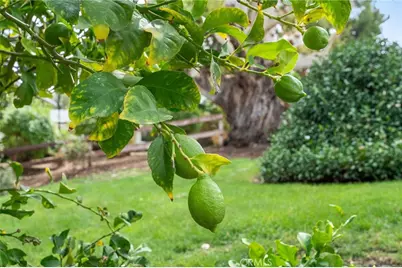 41070 Avenida Verde, Temecula, CA 92591 - Photo 4