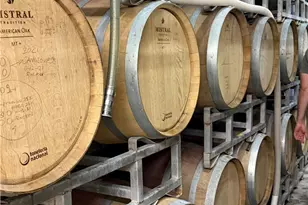 34680 Hwy 79, Warner Springs, CA 92086 - Photo 24