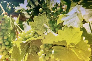 34680 Hwy 79, Warner Springs, CA 92086 - Photo 16