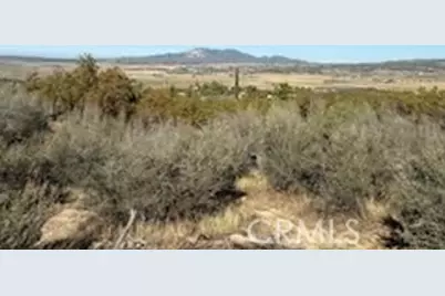 0 Reynolds, Anza, CA 92539 - Photo 8