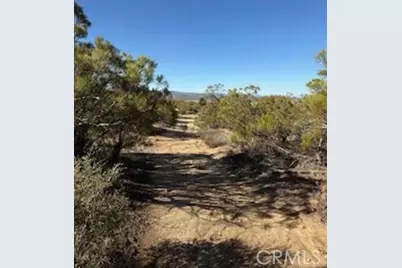 0 Reynolds, Anza, CA 92539 - Photo 4