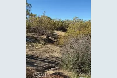 0 Reynolds, Anza, CA 92539 - Photo 16