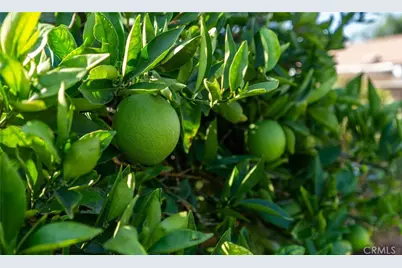 26435 Bluebell, Menifee, CA 92586 - Photo 26