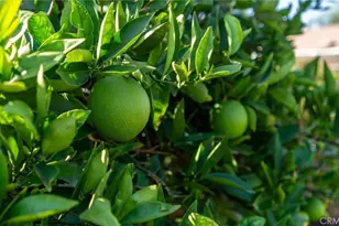 26435 Bluebell, Menifee, CA 92586 - Photo 26