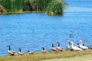 49412 Kiowa Dr, Aguanga, CA 92536 - Photo 54