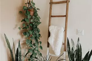 45180 El Reposo Rd, Aguanga, CA 92536 - Photo 14