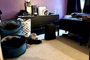 39785 Via Careza, Murrieta, CA 92563 - Photo 18