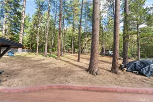 25220 Rim Rock, Idyllwild, CA 92549 - Photo 38