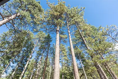 25220 Rim Rock, Idyllwild, CA 92549 - Photo 34