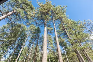 25220 Rim Rock, Idyllwild, CA 92549 - Photo 34