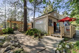 25220 Rim Rock, Idyllwild, CA 92549 - Photo 62