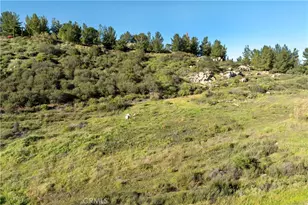 38355 Vista Del Bosque, Murrieta, CA 92562 - Photo 66