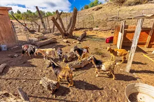 34265 Judith, Winchester, CA 92596 - Photo 32