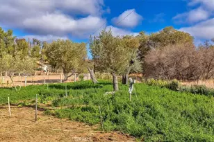 34265 Judith, Winchester, CA 92596 - Photo 50