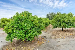 24800 Cornstalk Rd, Wildomar, CA 92595 - Photo 24