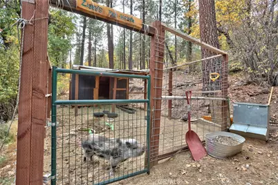 440 Saw Mill, Sugarloaf, CA 92314 - Photo 54