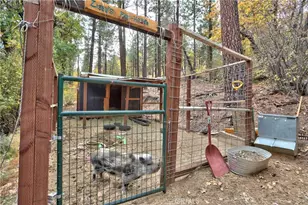 440 Saw Mill, Sugarloaf, CA 92314 - Photo 54