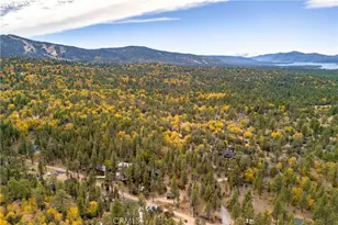 440 Saw Mill, Sugarloaf, CA 92314 - Photo 58