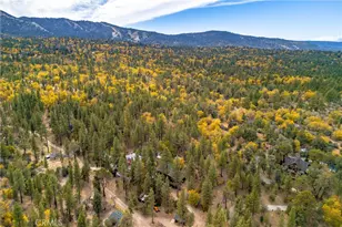 440 Saw Mill, Sugarloaf, CA 92314 - Photo 62