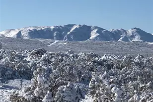 53651 US Hwy 371, Anza, CA 92539 - Photo 48