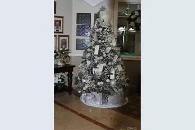 248 Four Seasons, Hemet, CA 92545 - Photo 28