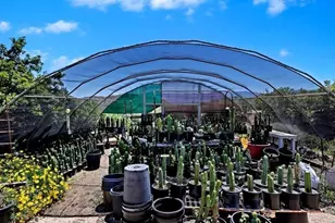 40410 Exa Ely Rd, Hemet, CA 92544 - Photo 54