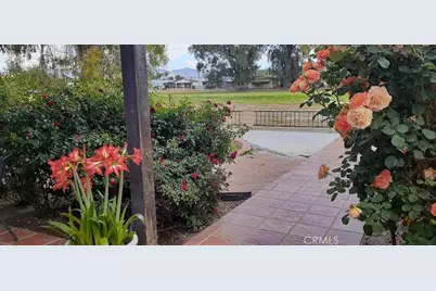 1484 Pepper Tree Drive, Hemet, CA 92543 - Photo 18