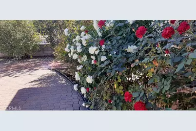 1484 Pepper Tree Drive, Hemet, CA 92545 - Photo 8