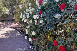 1484 Pepper Tree Dr, Hemet, CA 92545 - Photo 8