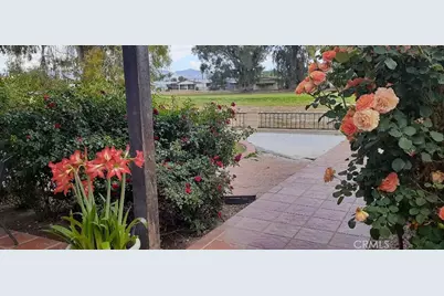 1484 Pepper Tree Drive, Hemet, CA 92543 - Photo 20