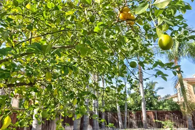 29419 Shady, Murrieta, CA 92563 - Photo 54