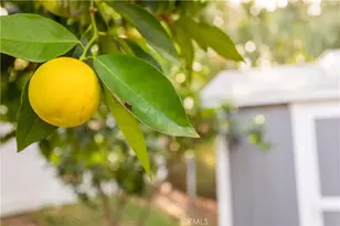 24599 Calle Perla, Murrieta, CA 92562 - Photo 54