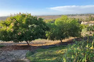 1864 Winterwarm, Fallbrook, CA 92028 - Photo 54