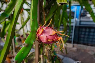 6580 Lake, Riverside, CA 92503 - Photo 66