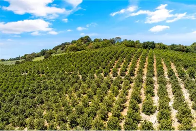 27 Via Escalon, Temecula, CA 92590 - Photo 6