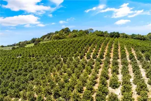 27 Via Escalon, Temecula, CA 92590 - Photo 6