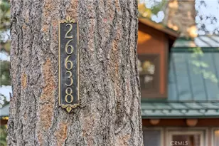 26638 Lake Forest, Twin Peaks, CA 92391 - Photo 66