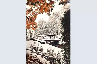 323 Alder, Lytle Creek, CA 92358 - Photo 46