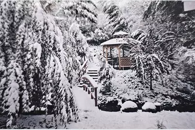 323 Alder, Lytle Creek, CA 92358 - Photo 48