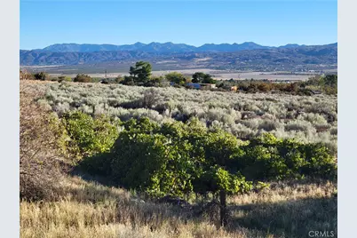 44451 Jay Dr, Anza, CA 92539 - Photo 28