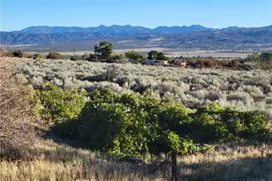 44451 Jay Dr, Anza, CA 92539 - Photo 28