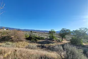 44451 Jay Dr, Anza, CA 92539 - Photo 26