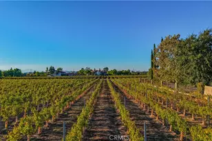 34965 Via Del Ponte, Temecula, CA 92592 - Photo 70