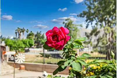 1137 Avenida Roundelay, San Jacinto, CA 92583 - Photo 42