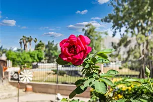 1137 Avenida Roundelay, San Jacinto, CA 92583 - Photo 42