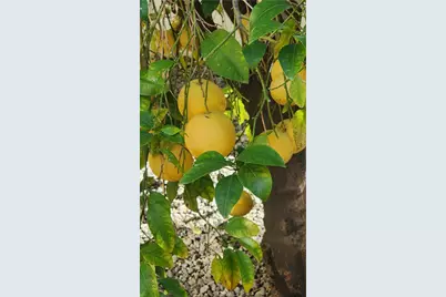 26573 Braddock Road, Menifee, CA 92586 - Photo 24