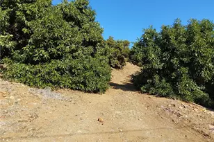 3 Via Vaquero, Temecula, CA 92590 - Photo 32