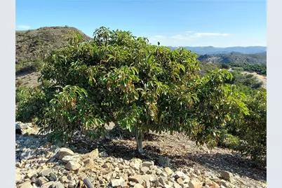 3 Via Vaquero, Temecula, CA 92590 - Photo 16